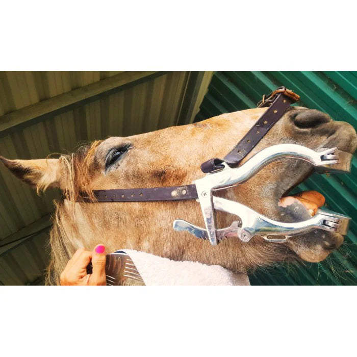 Premium Hausman SE Horse Dental Speculum