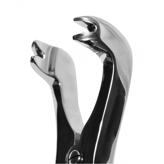 Efficient 12″ Four Prong Compound Cap Forceps for Dental Procedures