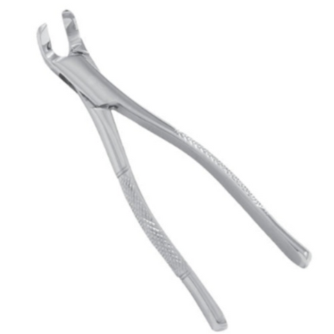 Efficient Turned Head Forceps for Equine Dental Procedures Expert Veterinary Tools