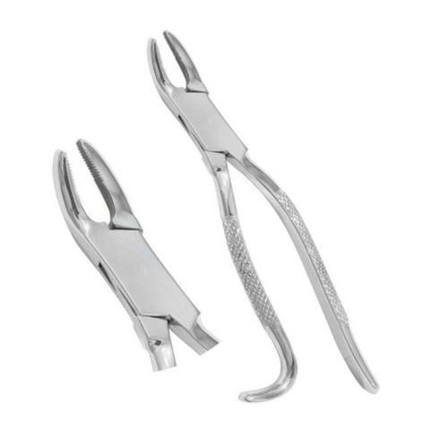 Wolf Tooth Forceps 9.5" Essential Tool for Equine Dental Procedures