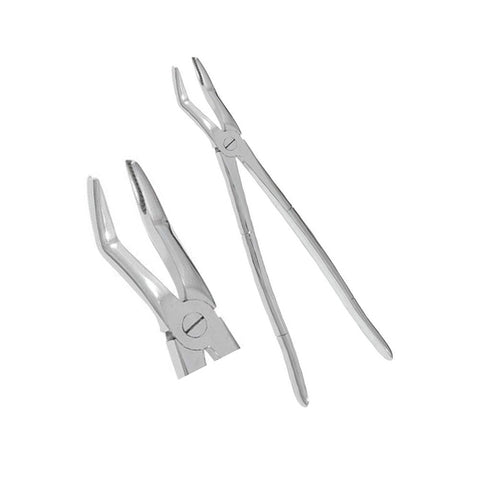 Wolf Teeth Forceps Large Essential Tool for Equine Dental Procedures