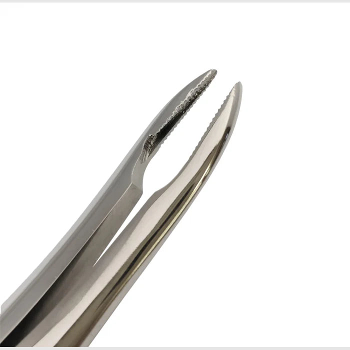 Narrow Jaw Extraction Forceps 7.5