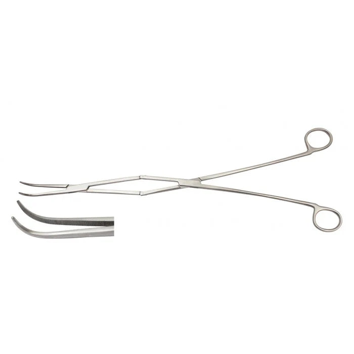 Effective Equine Dentistry Periodontal Forceps for Professional Oral Care