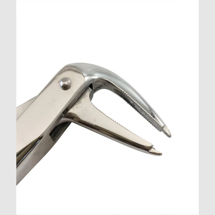 Turned Head Beak Extraction Forceps 6″