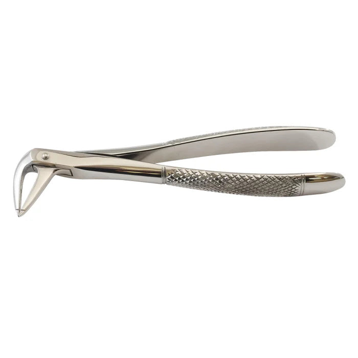 Turned Head Beak Extraction Forceps 6″