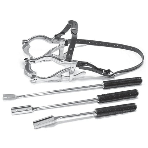 Basic Equine Dental Kit